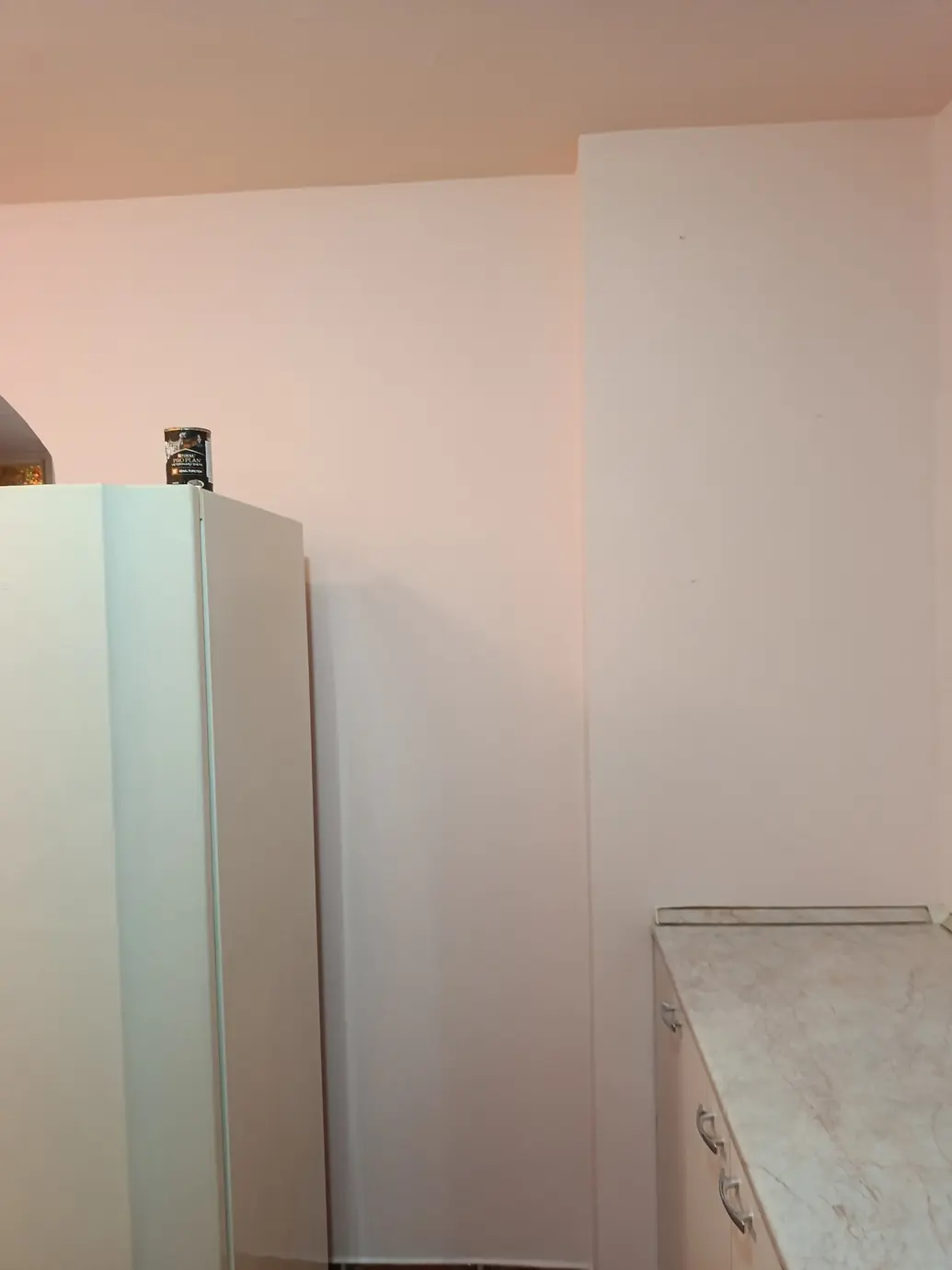 Roze zid iza frižidera — Blok 63, Novi Beograd