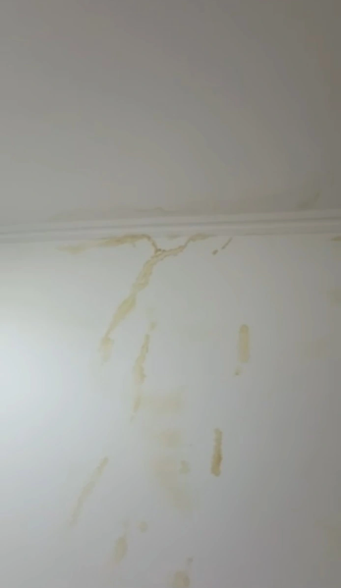 FLEKE UZ PLAFON · Detalj žutih fleka na spoju zida i plafona pre obrade — Blok 29 · fleke i lokalna popravka zida